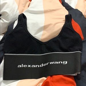 Alexander Wang Bra and Skirt